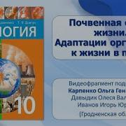 Почвенная Среда Жизни Адаптация Организмов К Жизни В Почве