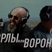 Фадеев Вороны