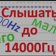 Частота 14000Гц