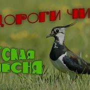 У Дороги Чибис