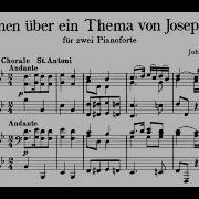 Variations On A Theme By Joseph Hayden For Two Pianos Op 56B