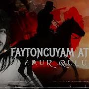 Zaur Quluzadə Faytonçuyam