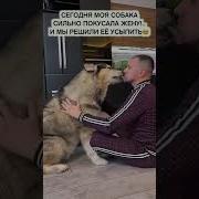 Девушка Вы Одна С Кобелём