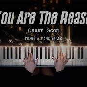 You Are The Reason Calum Scott Piano Cover