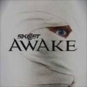 Skillet Hero With Intro 2013