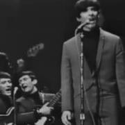 The Beau Brummels Laugh Laugh 1965