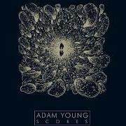 Adam Young