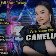 Kumpulan Lagu Lagu Rhoma Irama Versi Tasya Rosmala Full Album Adella