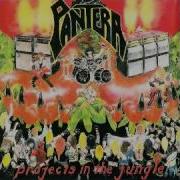 Projects In The Jungle Pantera