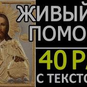 Эротика Видео Псалом 90 40 Раз Слушать Подряд Бесплатно