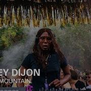 Love Honey Dijon