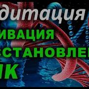 Активация Днк Мелодией