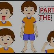 Parts Of The Body My Body Parts Song Kids Vocabulary English