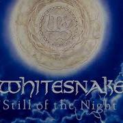 Whitesnake Instumental