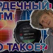 Heart Rate Перевод На Русский