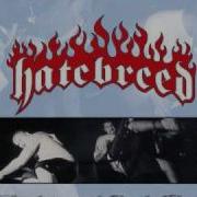 Empty Promises Hatebreed