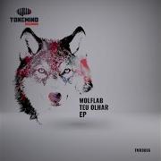 Wolflab Teu Olhar Pape Remix