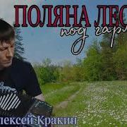 Поляна Лесная Алексей Кракин