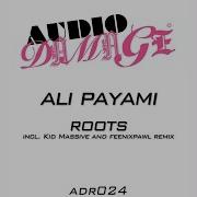 Roots Ali Payami