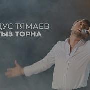 0 08 Ялгыз Торна Фирдус Тямаев