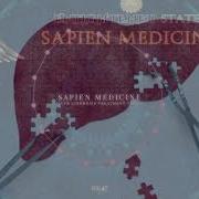 Liver Cirrosis Treatment Sapien Medicine