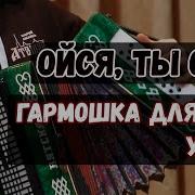 Гармонь Ойся Ты Ойся