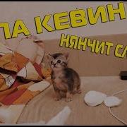 Папа Кевин Нянчит Малыша Сладуна