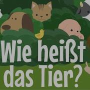 Wildtiere Für Kinder Auf Deutsch Tierische Töne Und Namen Lernen Für Kleinkinder