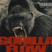 Daddy Bocha Gorilla Flow