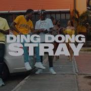 Ding Dong Stray