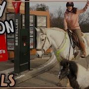 Mit Pferd Pony Zu Mc Donalds Fails