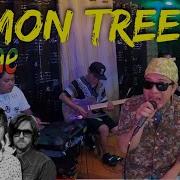 Reggae Lemon Tree