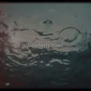 Strawberry Water Bryce Vine