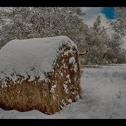 Danse Dans La Neige