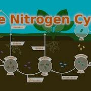 Nitrogen