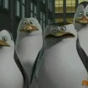 The Penguins Of Madagascar Night And Dazed