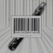 Barcode Brothers Flute Radio Edit