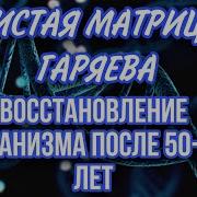 Матрица Гаряева 60 70 Лет