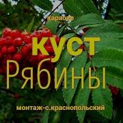 Куст Рябины Минус