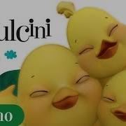 Pulcini