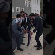 Turkish Wedding Dance