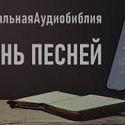 Книга Песни Песней Соломона