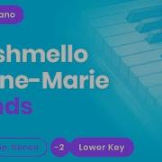 Marshmello Anne Marie Friends Karaoke Instrumental Acoustic Piano Cover Lyrics Lower Key