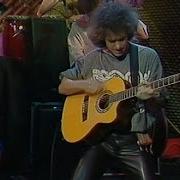 Pat Metheny Live 1987