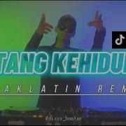 Bintang Kehidupan Cover Remix