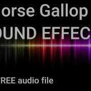 Horse Gallop Sound Effect Freesound