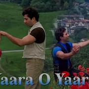 Yaara O Yaara