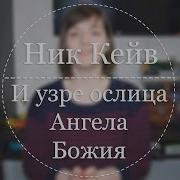 Ник Кейв И Узре Ослица Ангела Божия