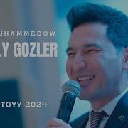 Gussaly Gözler