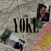 Zedk Yoke